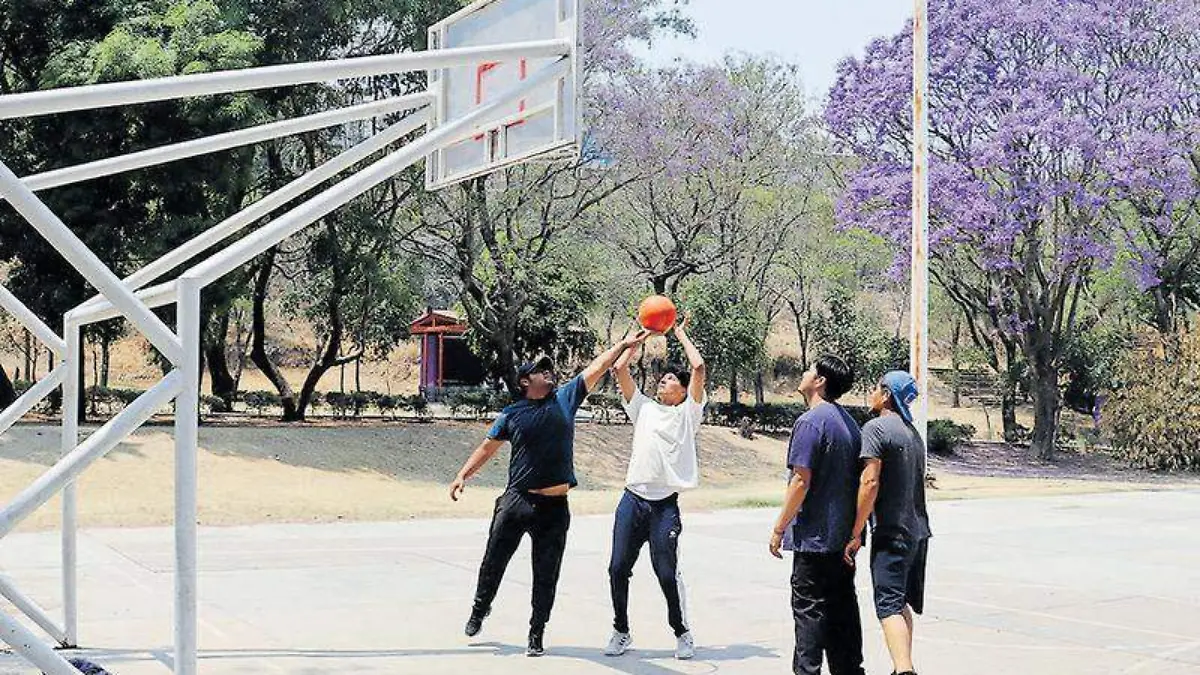 deportes familias